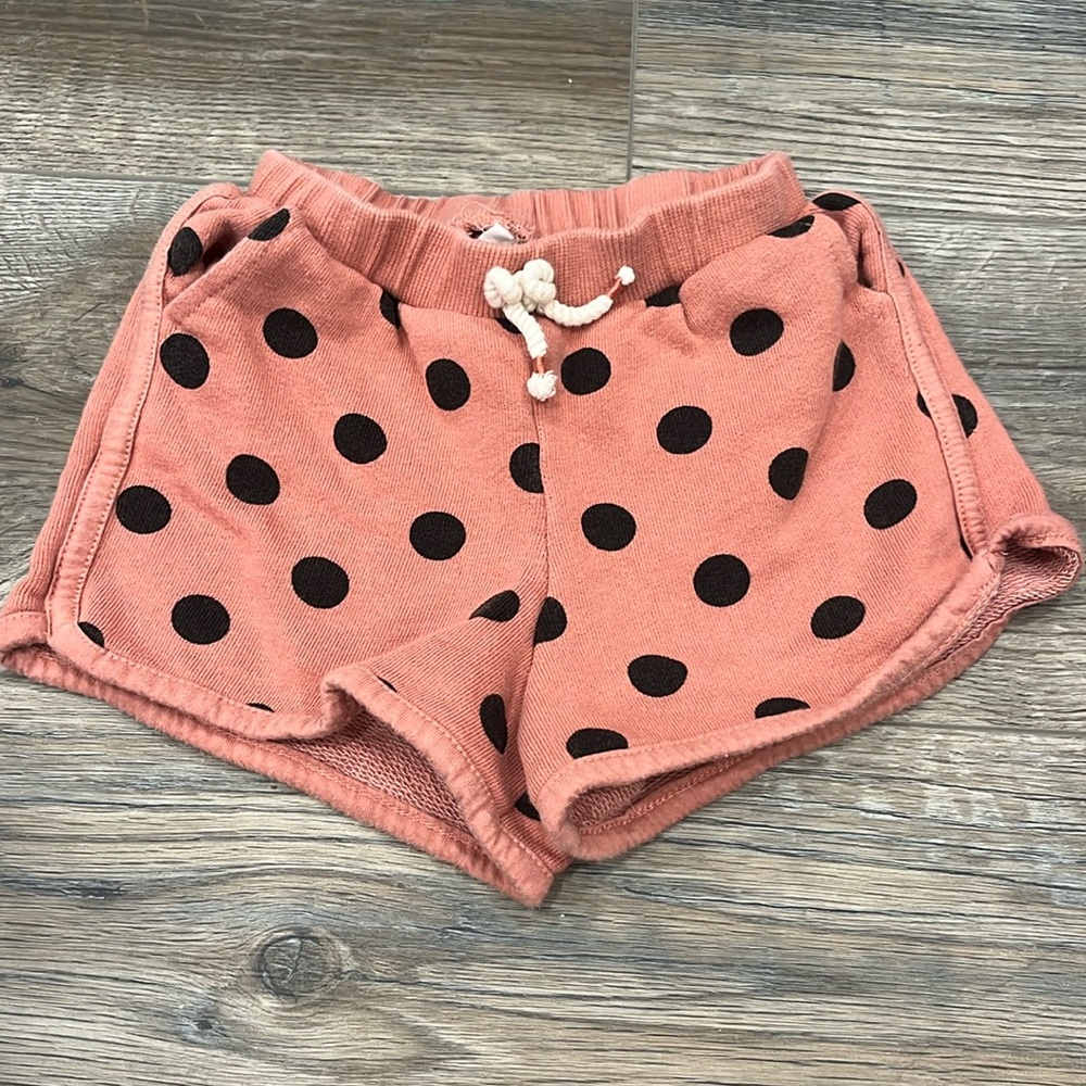 Zara Polka Dot Shorts
